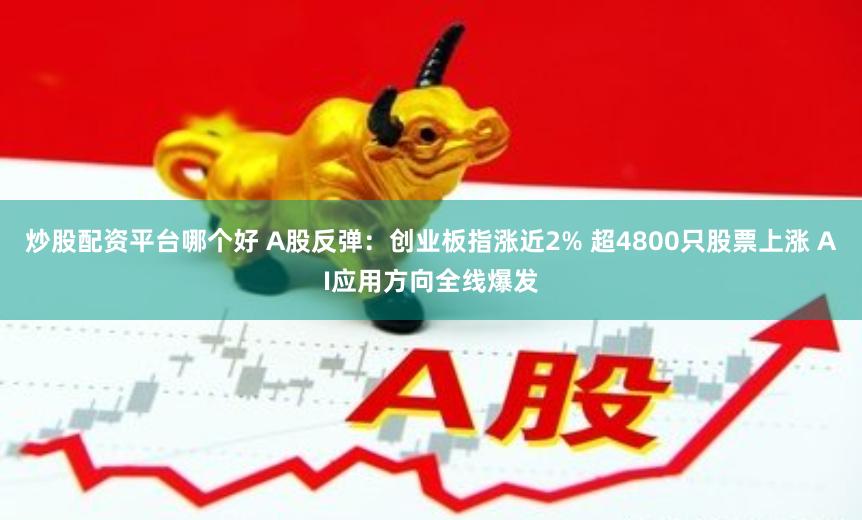 炒股配资平台哪个好 A股反弹：创业板指涨近2% 超4800只股票上涨 AI应用方向全线爆发