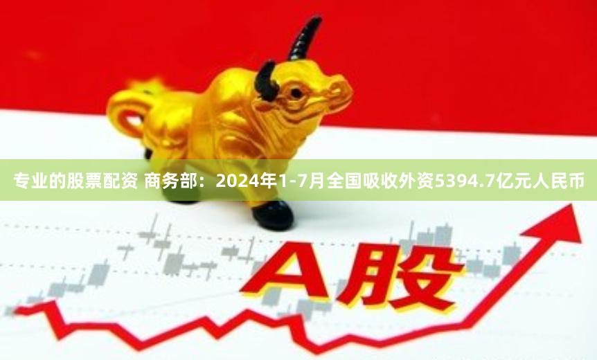 专业的股票配资 商务部：2024年1-7月全国吸收外资5394.7亿元人民币