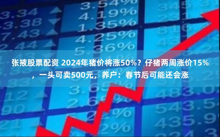 张掖股票配资 2024年猪价将涨50%？仔猪两周涨价15%，一头可卖500元，养户：春节后可能还会涨