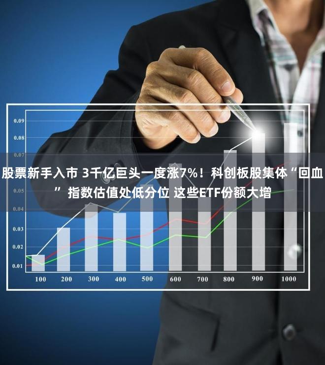 股票新手入市 3千亿巨头一度涨7%！科创板股集体“回血” 指数估值处低分位 这些ETF份额大增